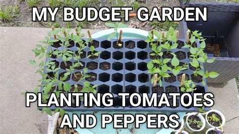 My Budget Garden Planting Tomatoes And Peppers Youtube