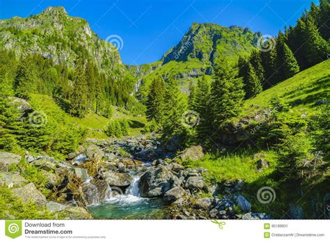 Beautiful Scenery With A Mountain River In The Fagarasi Mountain Stock Image Image Of Fresh
