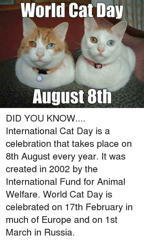 For those of you who don't know, august 8 is the day of the cat and of course we could not let that slide without giving those little cats who basically own the internet and the internet would not exist without cats the respect they deserve. 25+ Best Memes About World Cat Day | World Cat Day Memes