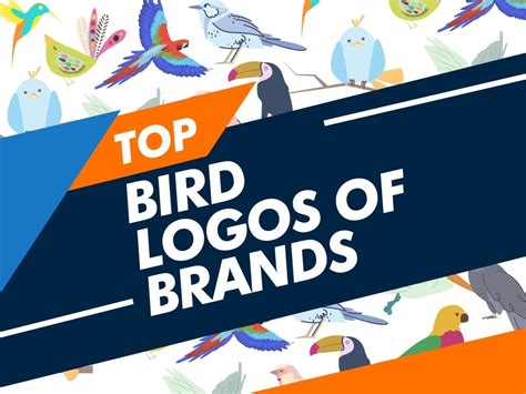 Clothing Brand With Flying Bird Logo ØªØµØ§ÙÙŠÙ Ø¬Ø§Ù‡Ø²Ø© Ù„Ù„ØªØ