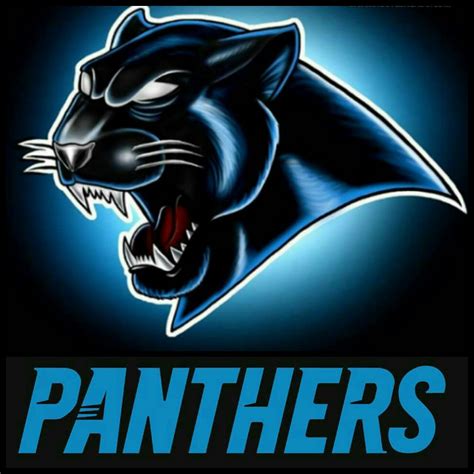 Pin On Panthers Nation