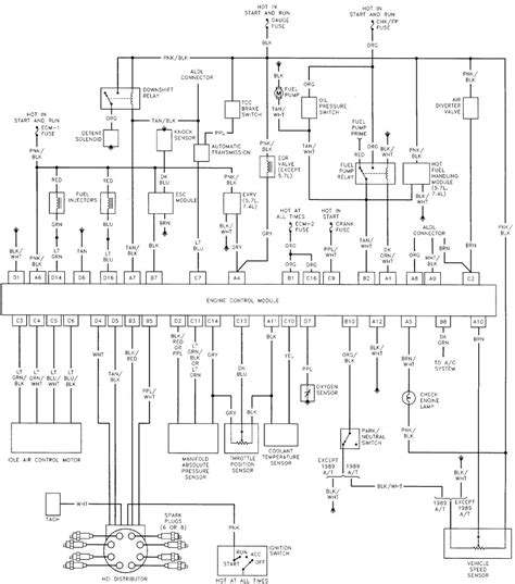 wiring diagram    bounder