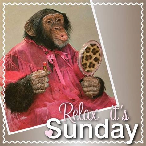 Relax Its Sunday Good Morning Sunday Sunday Quotes Good Morning Sunday