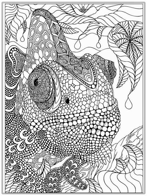 Very Detailed Coloring Pages At Getdrawings Free Download