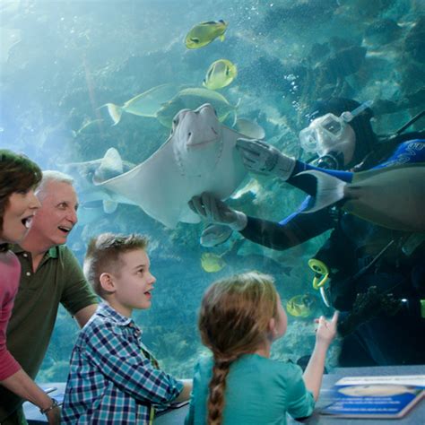 Newport Aquarium Offering Guests A Unique Adventure With Underwater