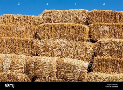 Square Hay Bales High Resolution Stock Photography And Images Alamy
