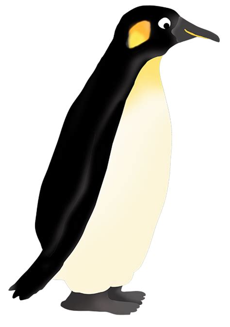 Emperor Penguin Clip Art Clipart Best