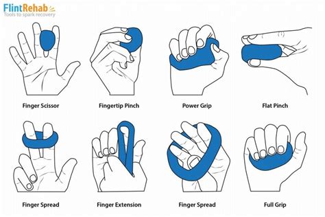 Effective Hand Therapy Putty Exercises Free Pdf Flint Rehab