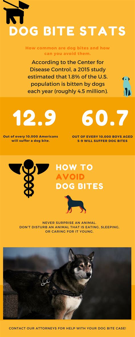 Infographic Dog Bite Statistics Shafner Law