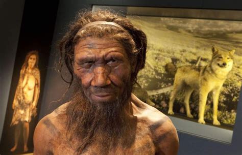 Neanderthals Stood Up Straight Like Modern Humans Study