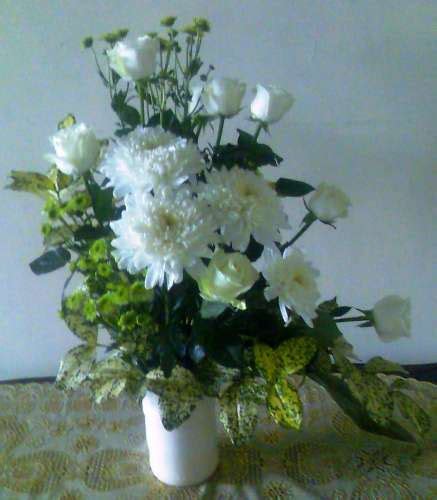 We did not find results for: TOKO BUNGA MEDAN | KEISHA FLORIST 081264802849: Contoh ...