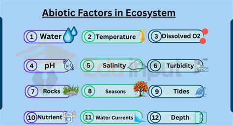 25 Examples Of Abiotic Factors In Ecosystem