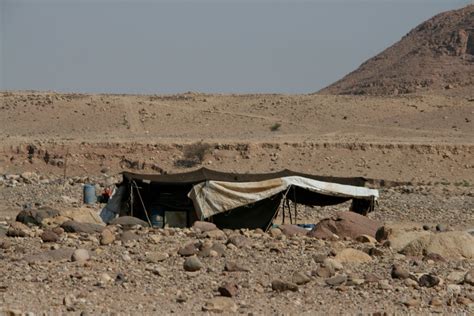 Refugee Service Management The Bedouin Challenge Tradition Meets