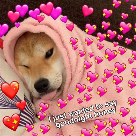I Just Wanted To Set Goodnight Cute Love Memes Cute Memes Goodnight