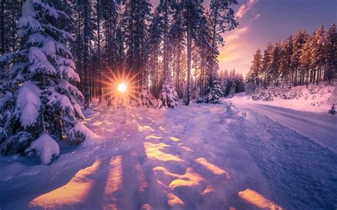 Download Wallpapers Winter Forest Snow Sunset Evening Winter