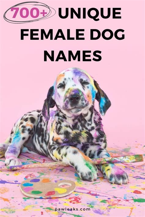 Unique Dog Names And Meanings Random Business Name