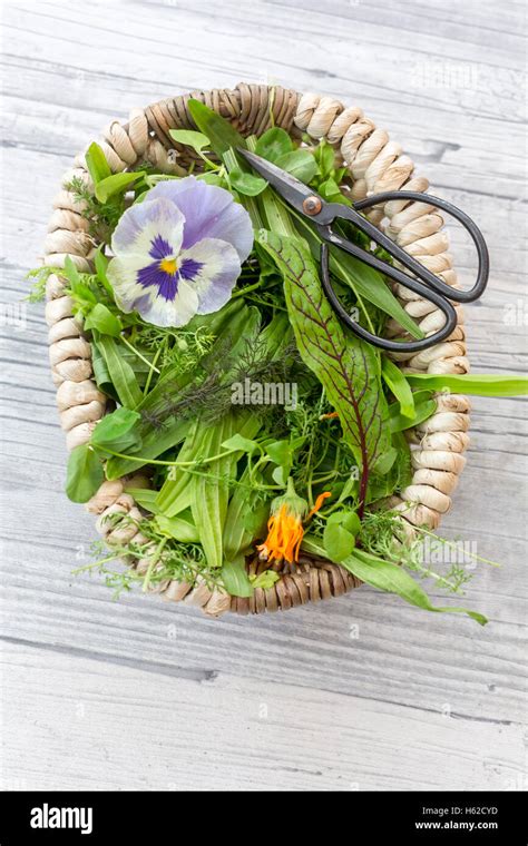 Basket Of Wild Herbs And Edible Flowers Stock Photo Alamy