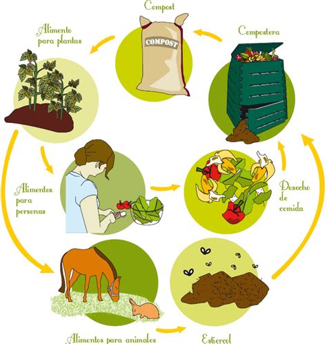 Ciclo Del Compost Compostando Ciencia Lab