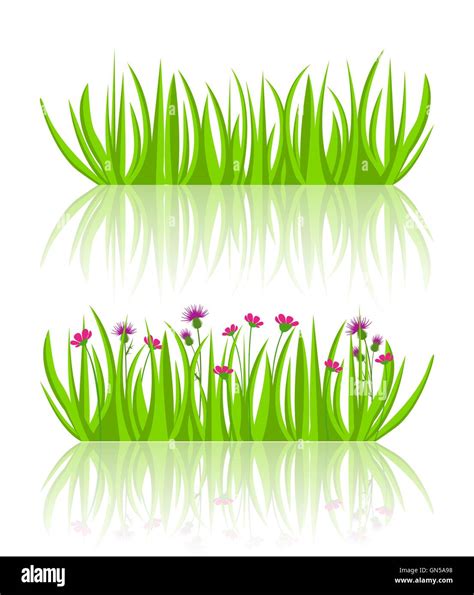 Vector Illustration Grass Stock Vector Image And Art Alamy