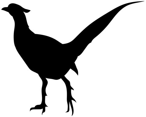 Bird Silhouette Png Transparent Clip Art Image Gallery Yopriceville
