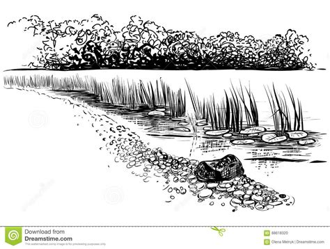 Bank Of The River With Reed And Cattail Sketchy Style Stock Vector