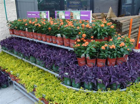 Home depot is the largest home improvement retailer in the united states with a product line that includes bath, building materials, flooring, gardening tools, kitchen and electrical appliances. Gallon Color for Your Garden | Garden center displays ...