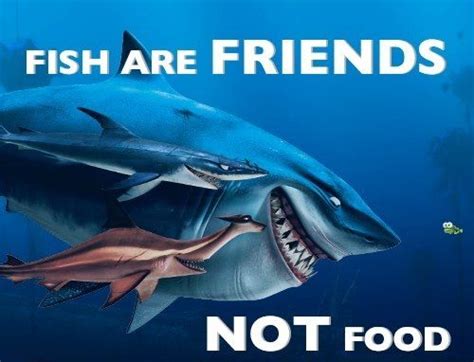 When the sharks help the dad find nemo and they say, fish are friends,not food! Fish r friends not food! | Disney quotes, Nemo, Finding ...