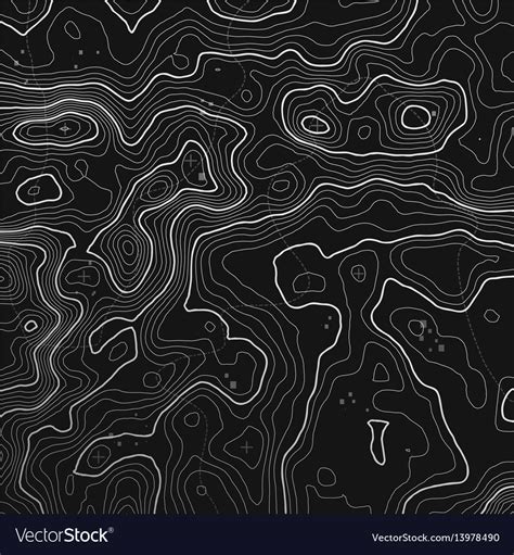 Topographic Map Background With Space For Copy Vector Image