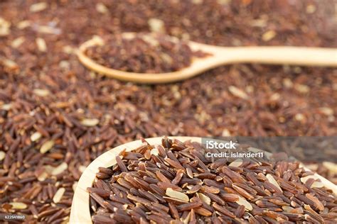 Germinated Brown Rice Gaba Rice Stock Photo Download Image Now