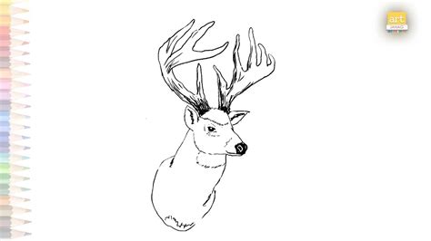 Deer Head Drawing Outline How To Draw Deer Head Step By Step Wild