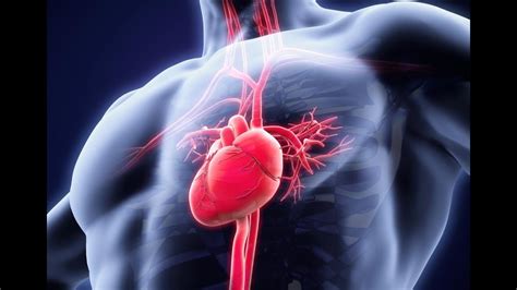 Cómo Detener Un Ataque Cardíaco En Un Minuto Aplica Los Primeros