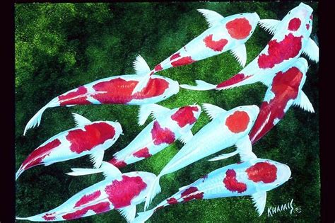 Nishikigoi Koi Painting By Dj Khamis Fine Art America