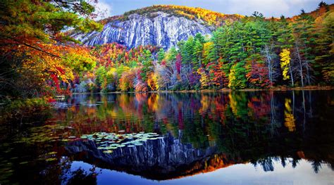 Autumn Forest Reflected In The Lake 4k Ultra Hd Wallpaper