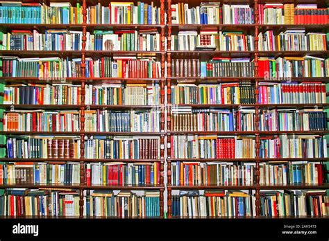 Whole Big Wall Covered With Lot Of Books Stock Photo Alamy