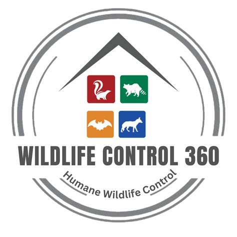 Humane Critter Control Services | Wildlife Control 360
