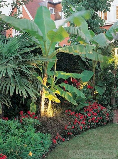 24 Best Awesome Tropical Garden Landscaping Ideas Tropical Landscape