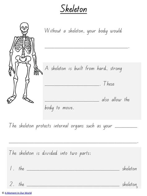 Bones And Muscles Worksheets For Grade 4 Pdf