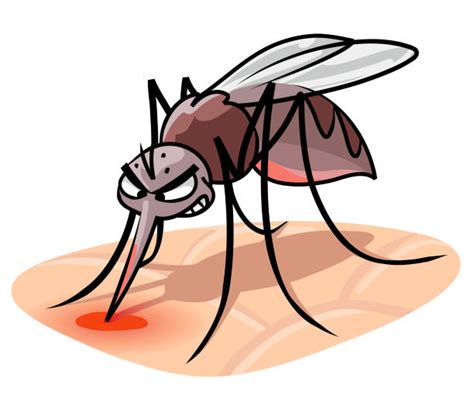 Mosquito Illustrations Royalty Free Vector Graphics And Clip Art Istock
