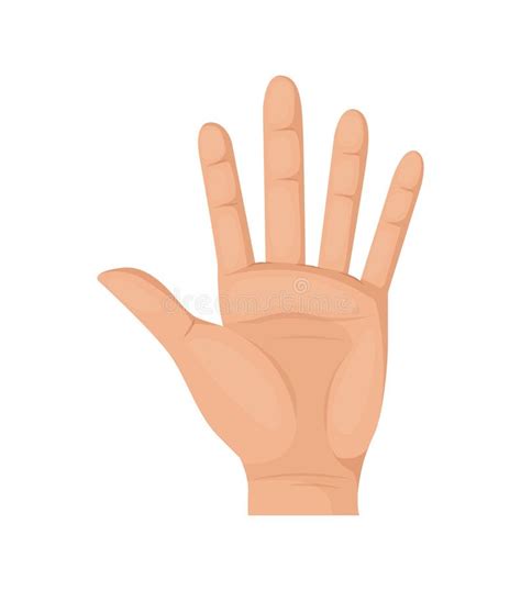 Hand With Five Fingers Palm Illustration Vector Color Sketch Of A