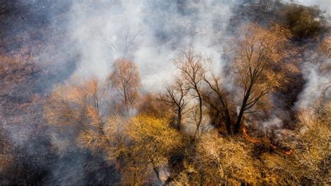 Does Wildfire Smoke Cause Lung Cancer