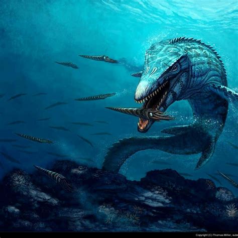 Mosasaurusdinosaurmosasaurusjurassicworld Prehistoric Wildlife