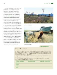 Solucionario ciencias naturales tercer grado les comparto el solucionario de ciencias naturales para tercer grado de primaria solucionario ciencias naturales tercer grado. Paco El Chato Libro De Formación 5 Grado Contestado ...