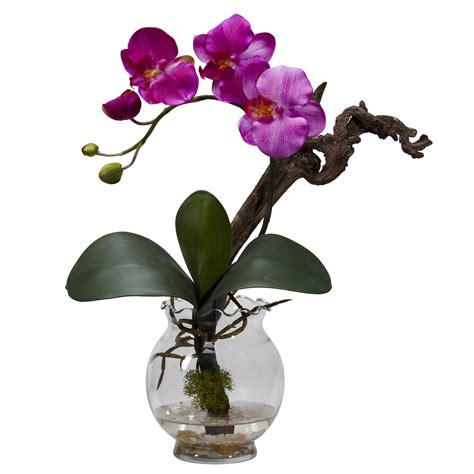Maybe you would like to learn more about one of these? Mini Phalaenopsis Orchid with Fluted Vase | 1277
