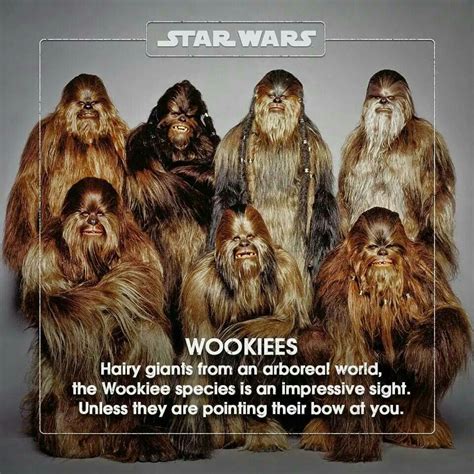 Wookies Star Wars Timeline Star Wars War