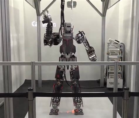 Watch A Glimpse Into The Future At The World Robots Summit