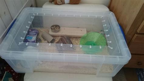 Handmade Hamster Cage For My Winter White Dwarf Which I Have Made