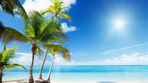 Tropical Beach Paradise Sunshine Summer Scenery Hd Wallpaper Preview
