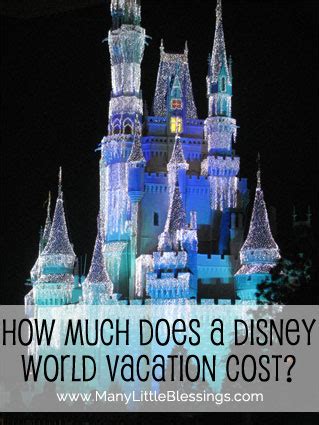 Information and other details required to buy your chain. How Much Does a Disney World Vacation Cost?