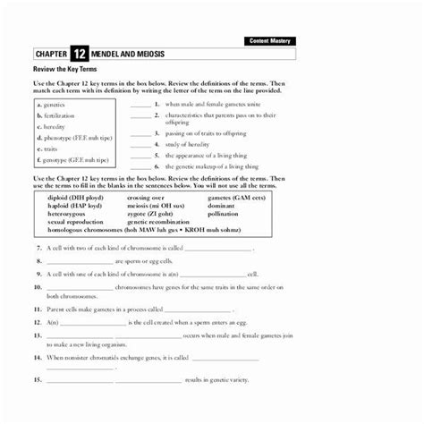 The order of base pairs in complementary rna strands d. Meiosis Worksheet Vocabulary Answers Beautiful Mendel and ...
