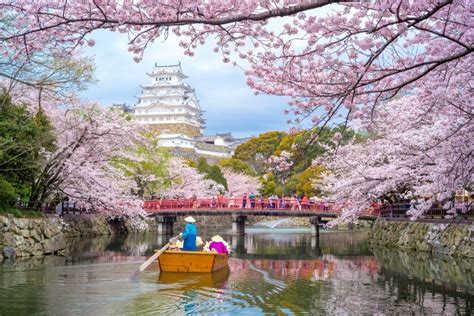 When to see Japan’s cherry blossoms in 2018
